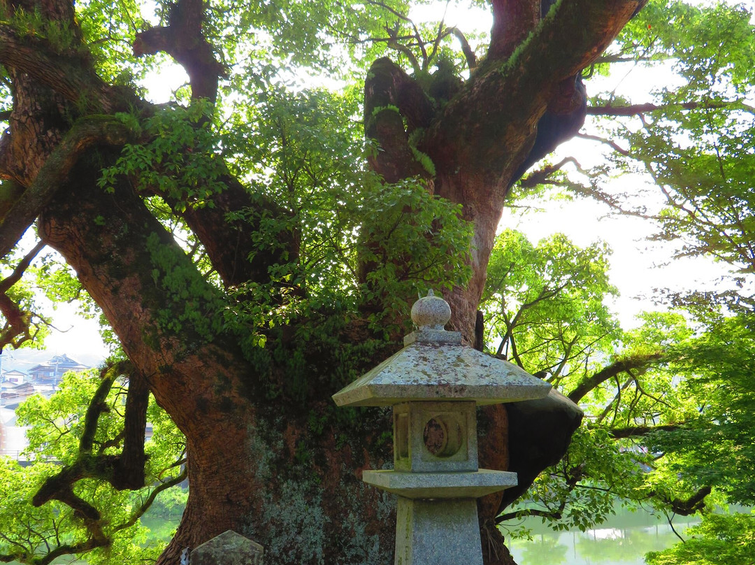 Yodohime Shrine-佐贺市必去景点