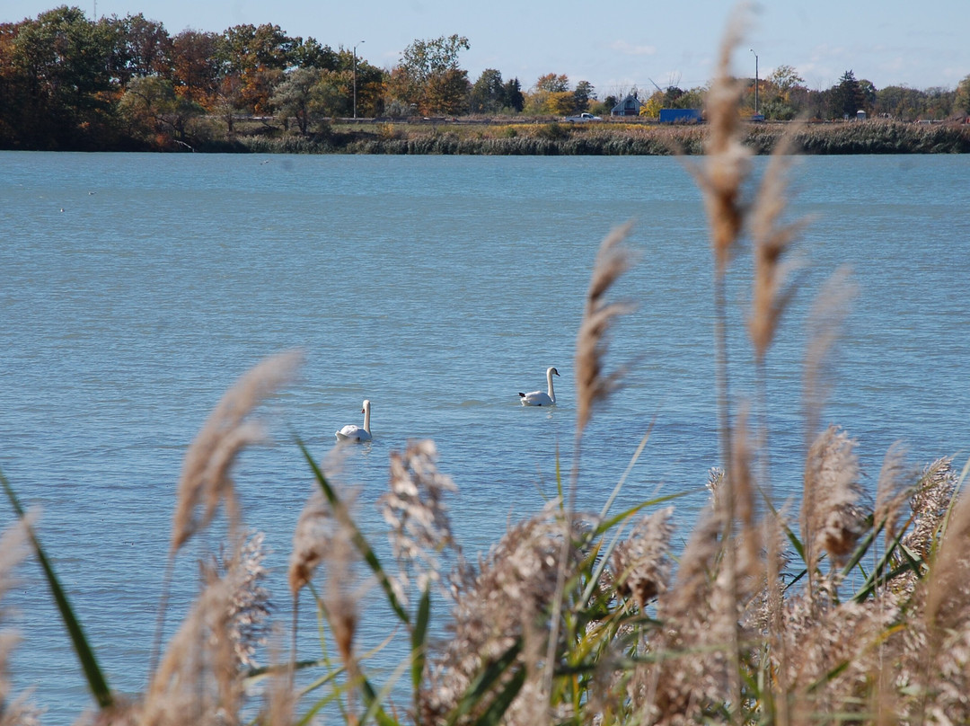 Mel Swart Lake Gibson Conservation Park-Thorold必去景点