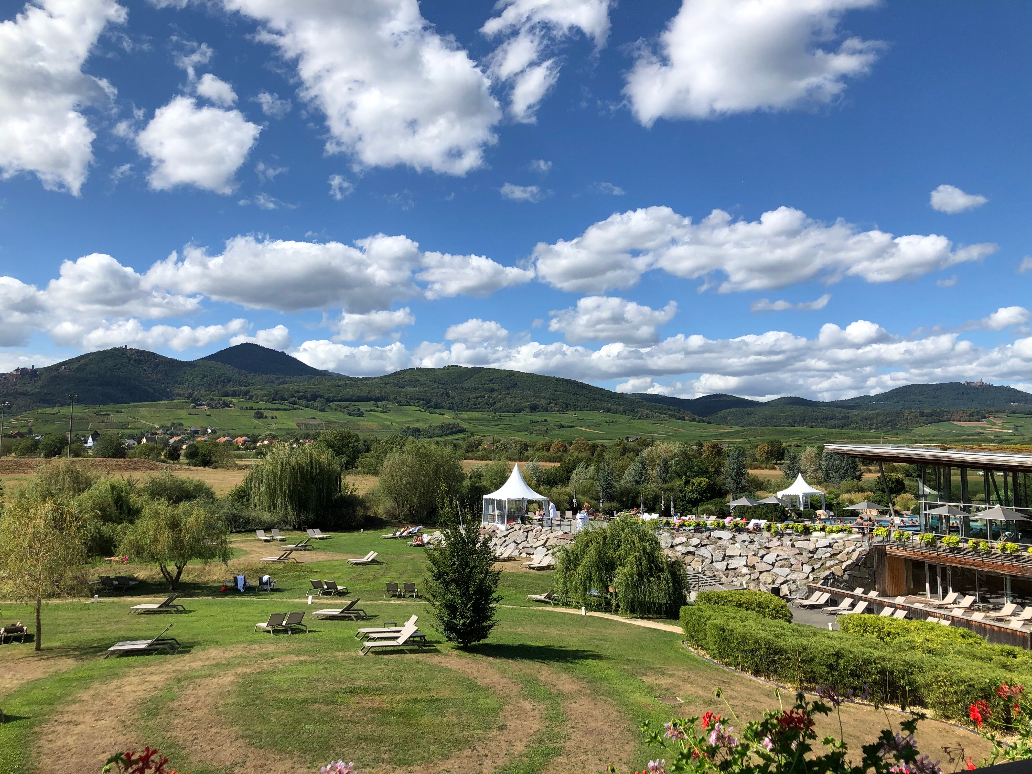 Resort Barriere Ribeauville-酒店景观