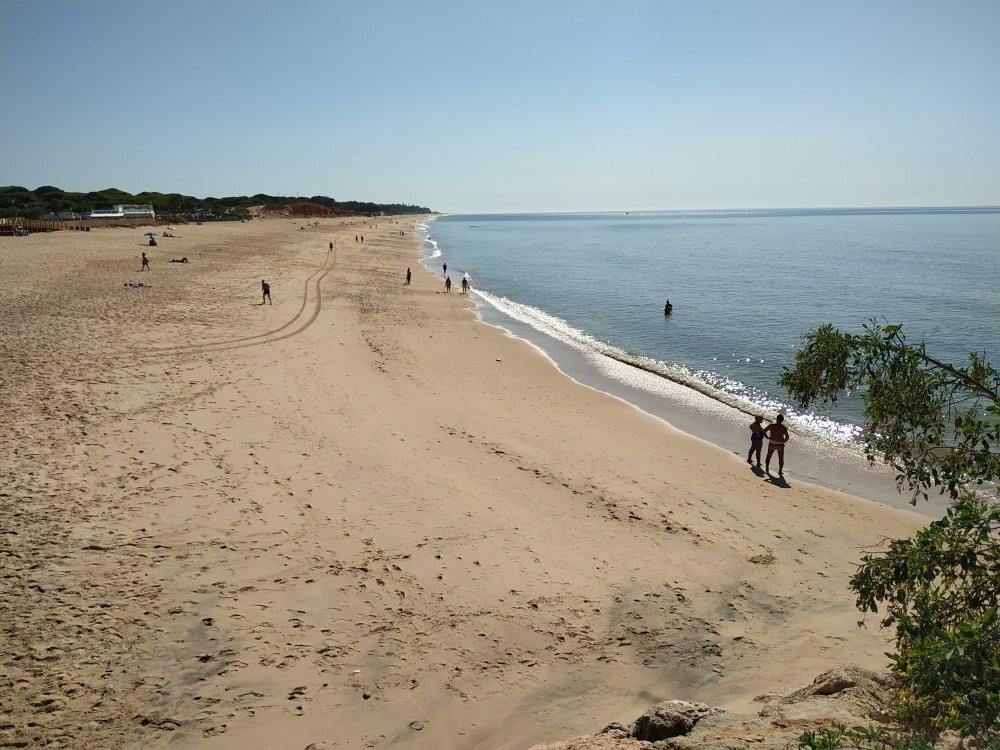 Praia do Forte Novo景点图片