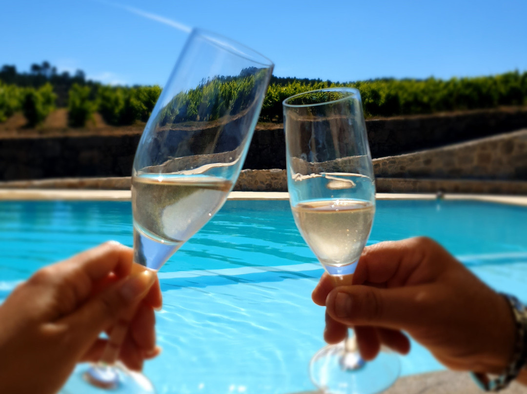 Quinta do Medronheiro Hotel Rural主图