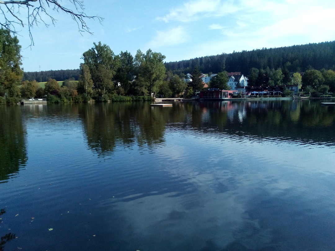 Naturschimmbad Klosterweiher景点图片