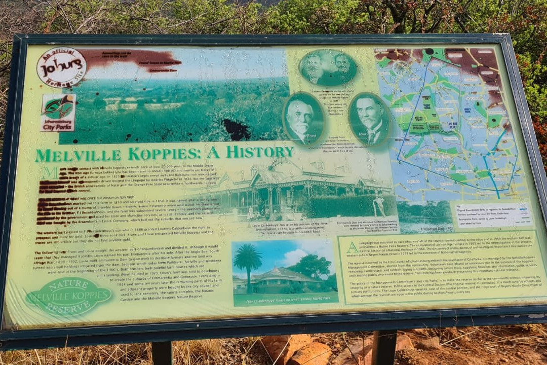 Melville Koppies Nature Reserve景点图片