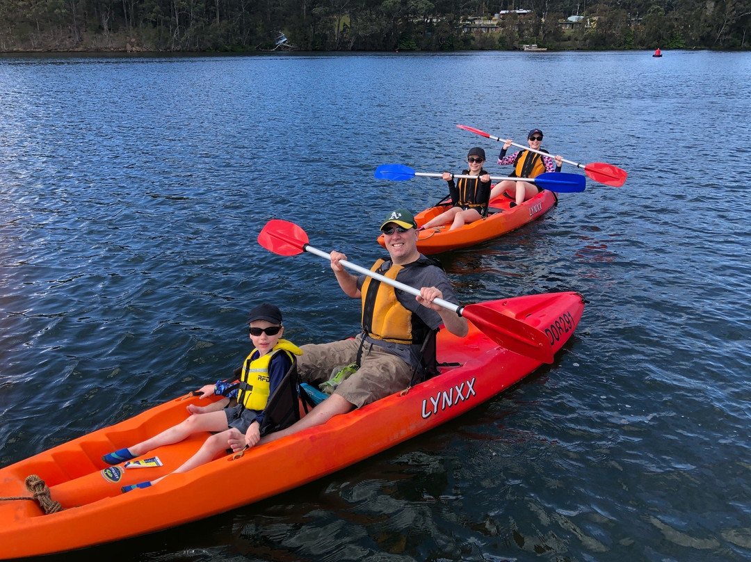Nelligen Kayak Hire景点图片