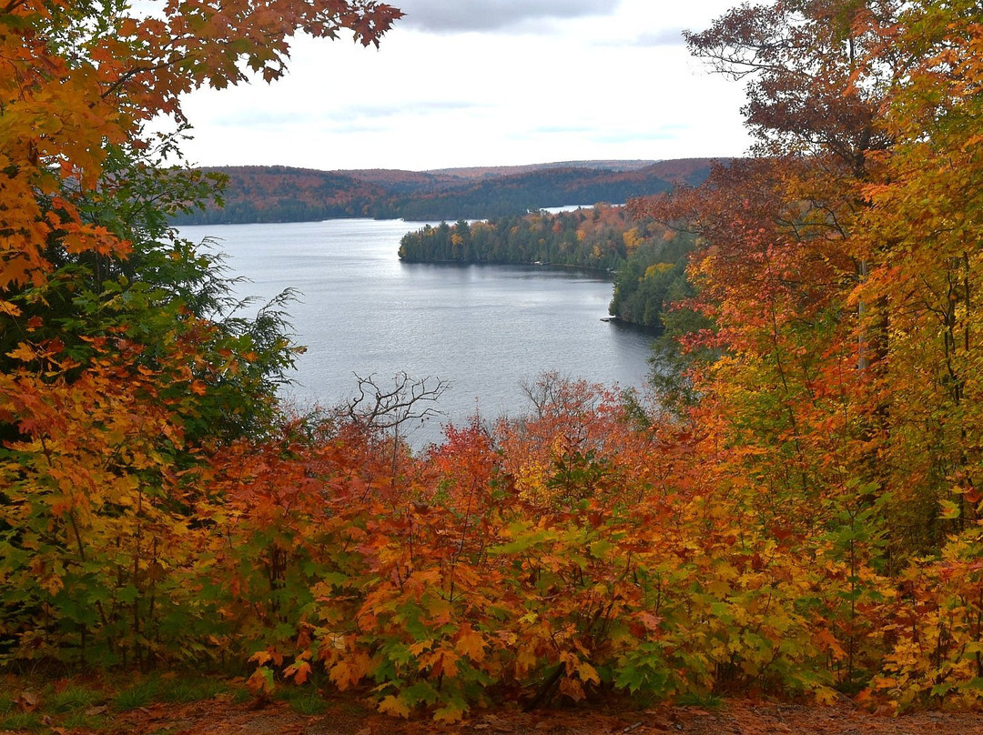 Hardwood Lookout Trail景点图片