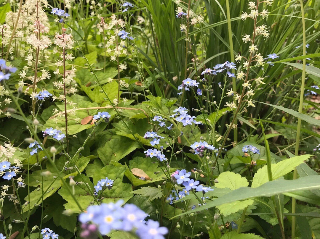 Churchville Nature Center-Churchville必去景点