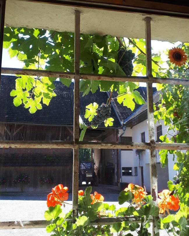 Reitergut Weissenhof