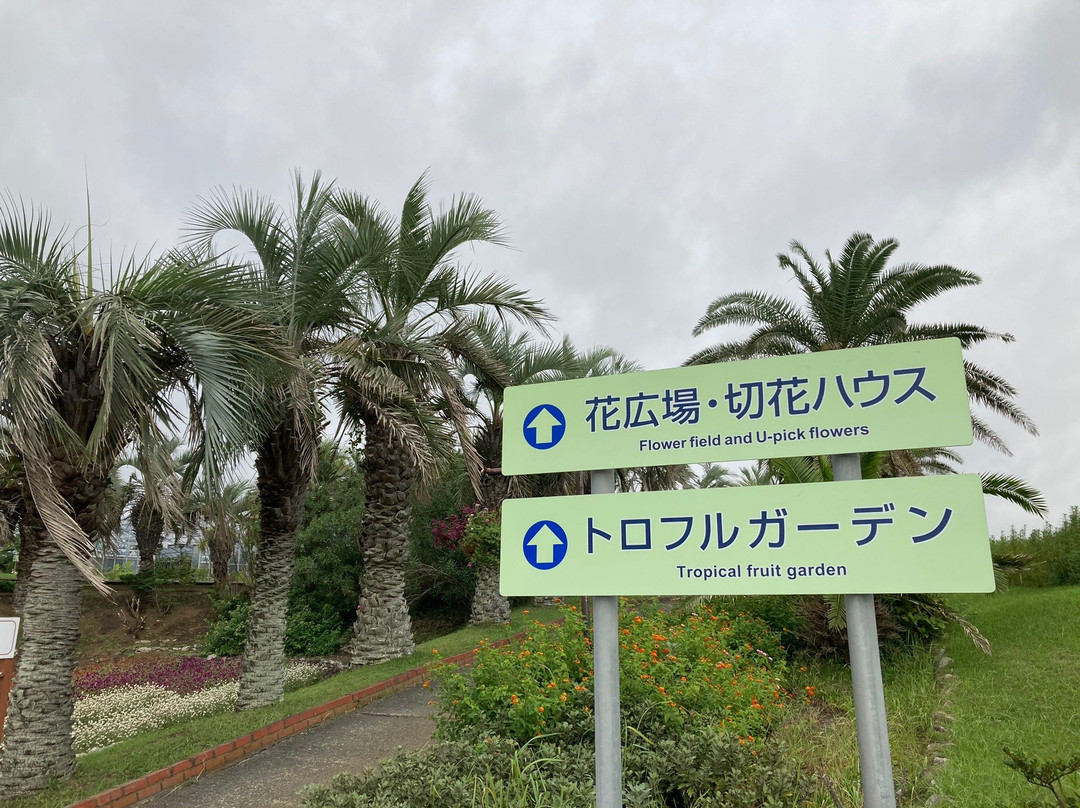 Tateyama Family Park景点图片