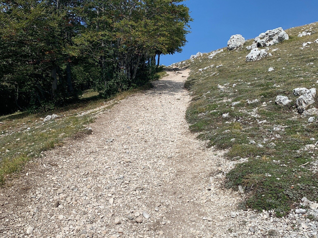 Campo dell'Osso-Subiaco必去景点