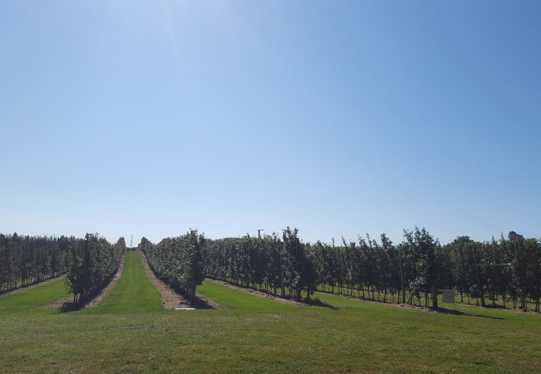 Chudleigh's Entertainment Farm-Milton必去景点