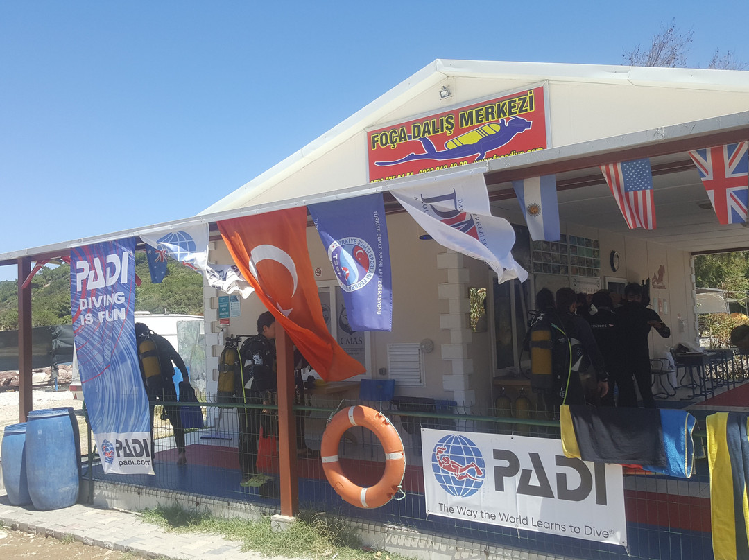 Foça Dalış Merkezi景点图片