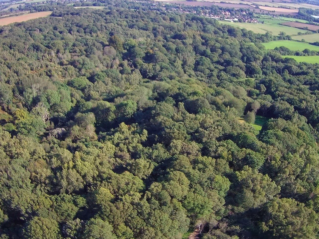 Shotover Country Park景点图片
