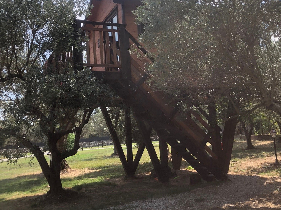 Palazzo Conforti主图