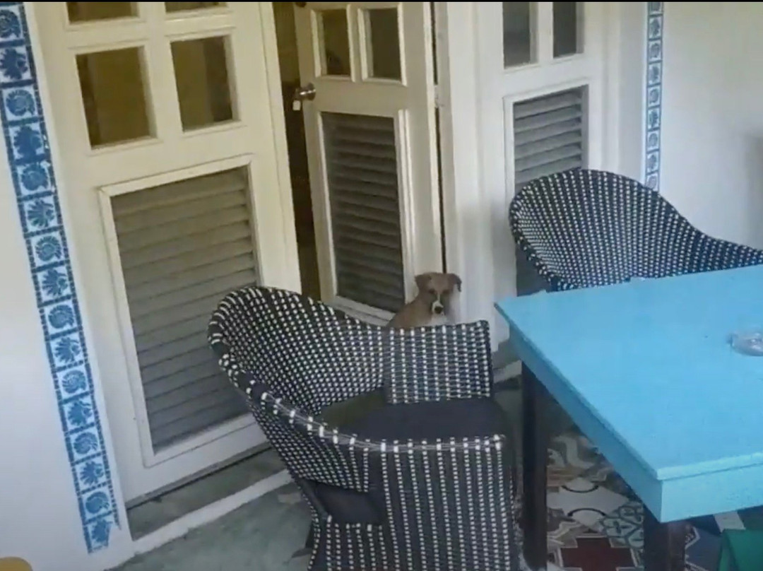 Cabarete Surfcamp主图