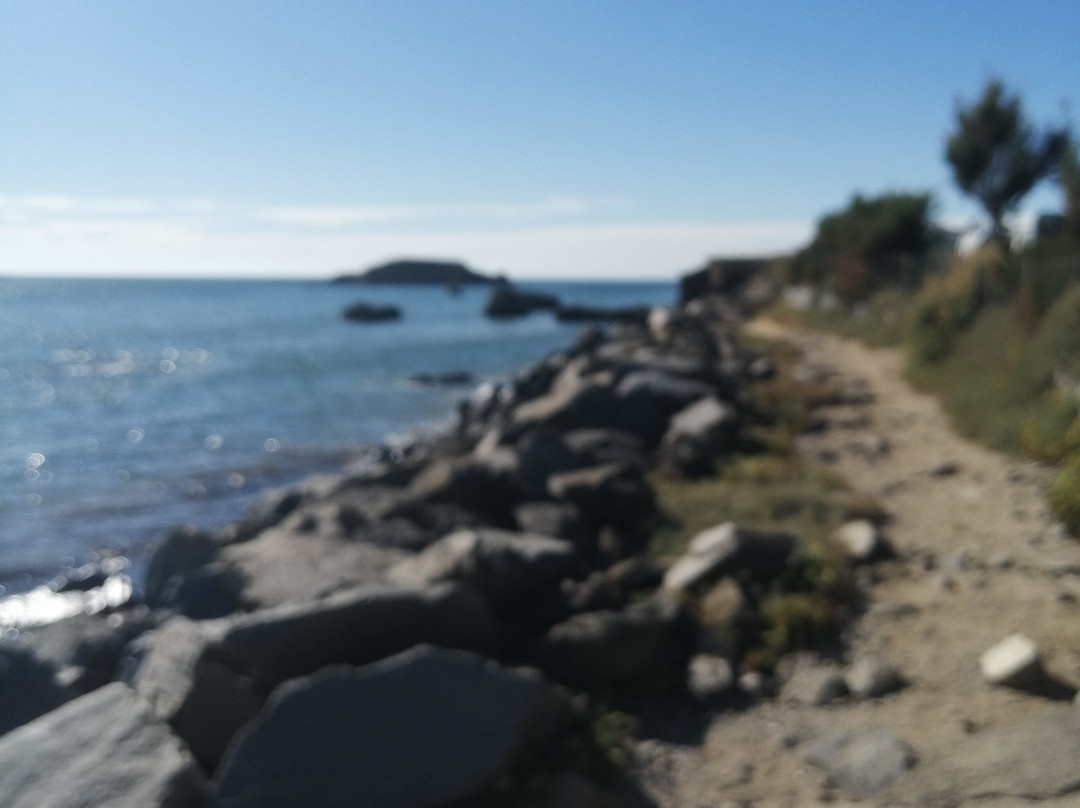 Pointe du Bile景点图片
