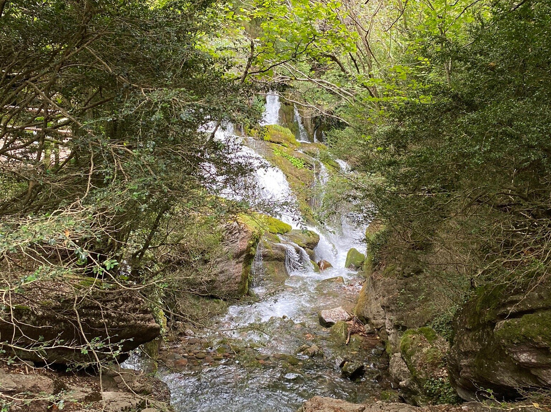 Las Fuentes del Llobregat景点图片