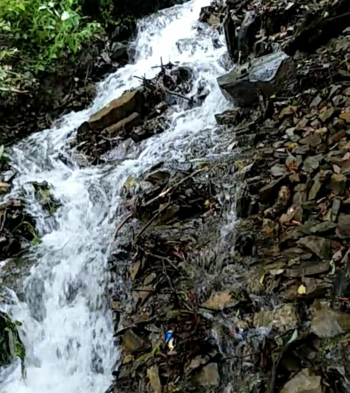 OYO 11877 Royal Residency主图