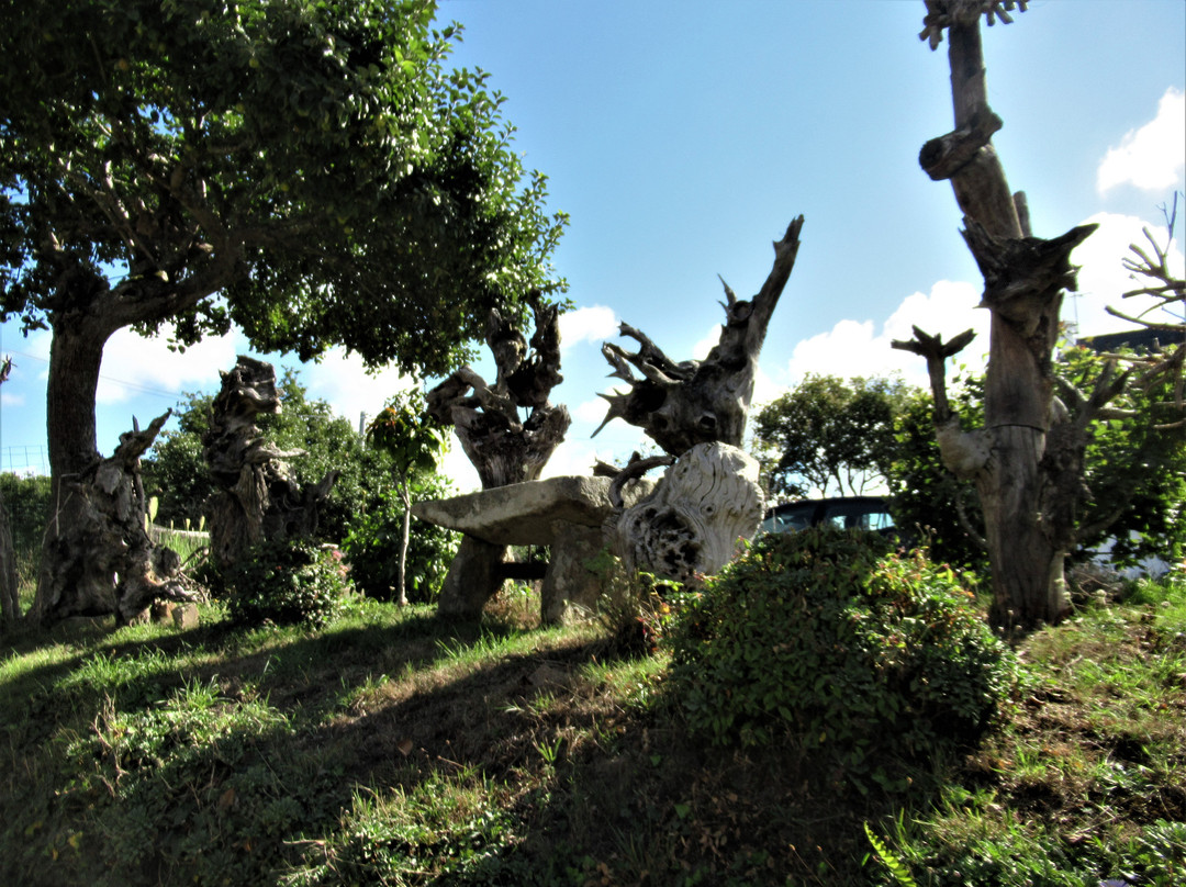 Souches du Parking du bar du Mont-Salut-Ploemel必去景点