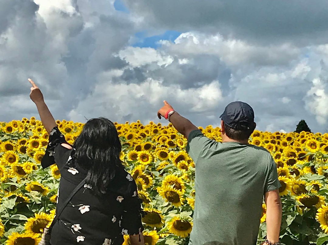 Dixie Orchards-卡利登必去景点