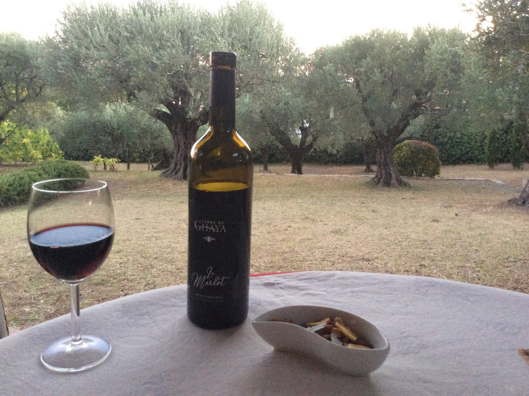 Terre de Ghaya-Bedoin必去景点