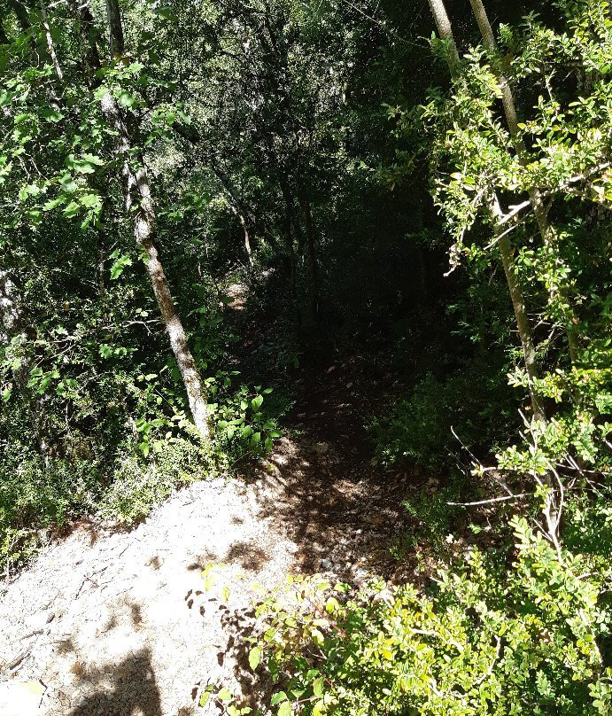 Puncho d'Agast-米约必去景点