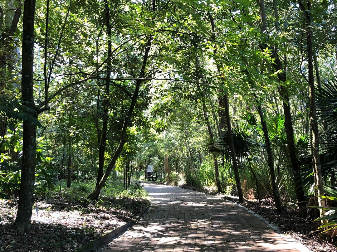 Hunter Region Botanic Gardens景点图片