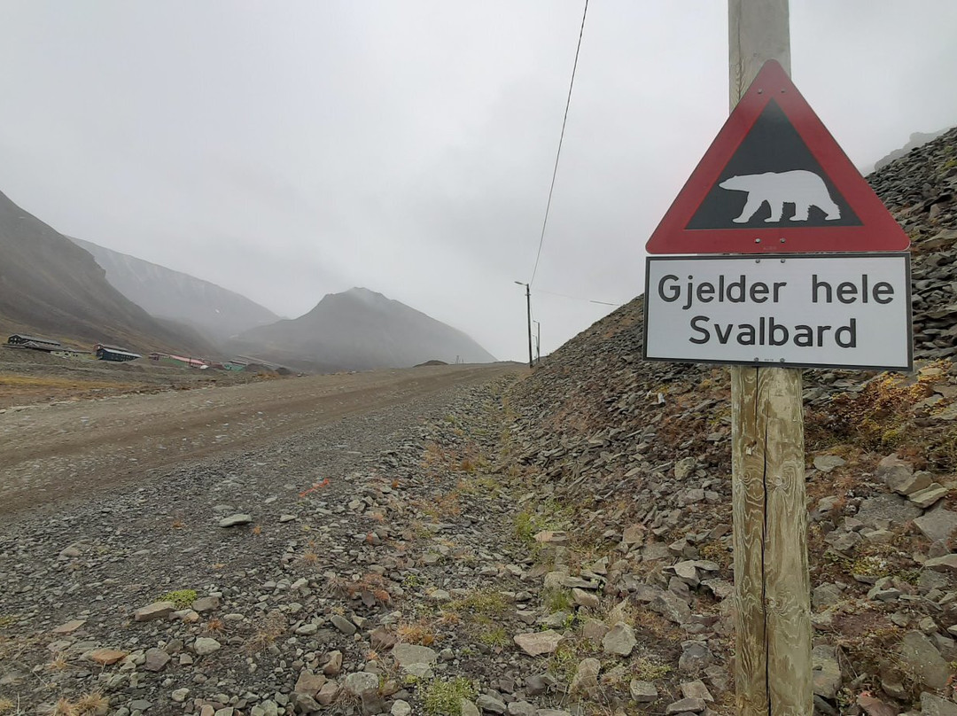 Galleri Svalbard景点图片