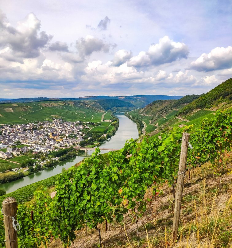 Weingut & Gäestehaus Christoph Clüesserath主图