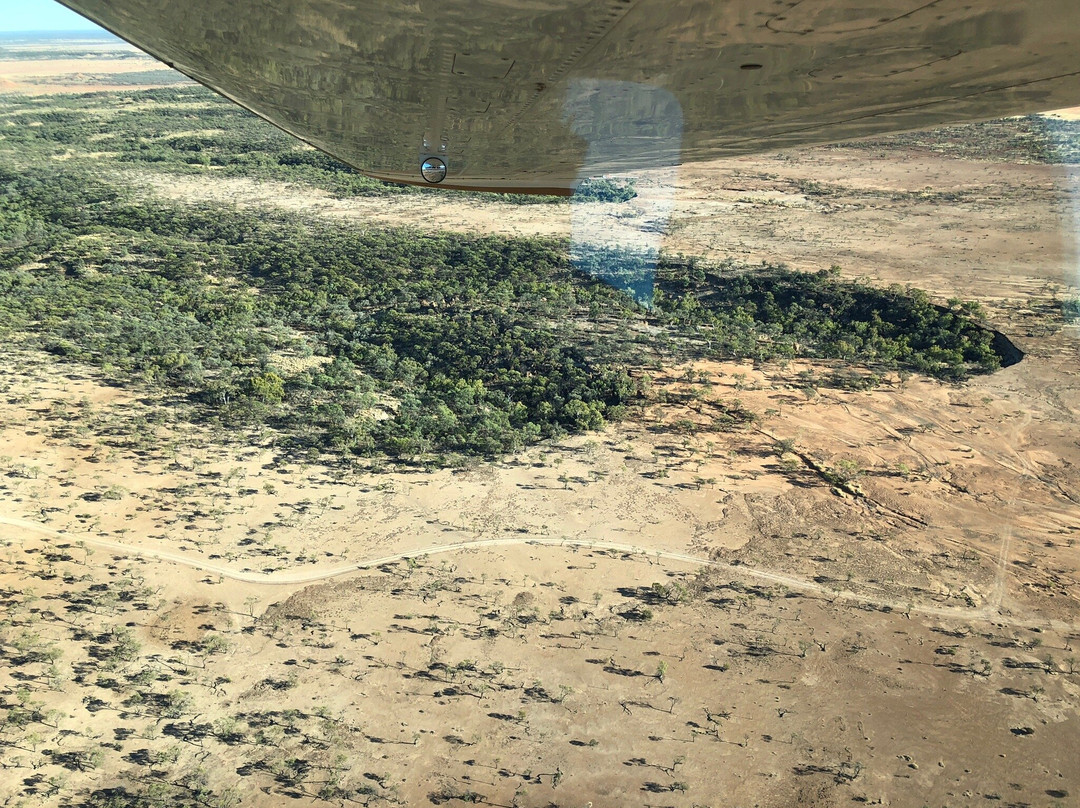 Elite Aviation Services Pty Ltd-Winton必去景点