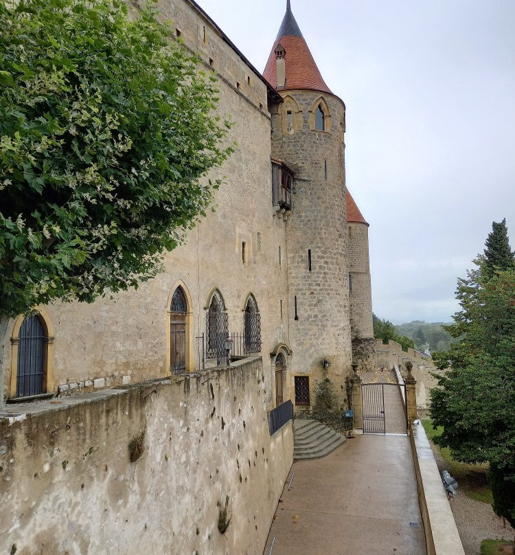 Château De Grandson-Grandson必去景点