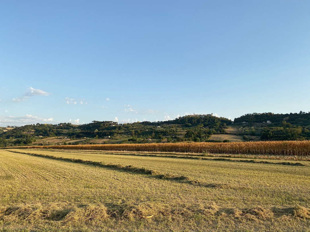 Agriturismo Monterone主图