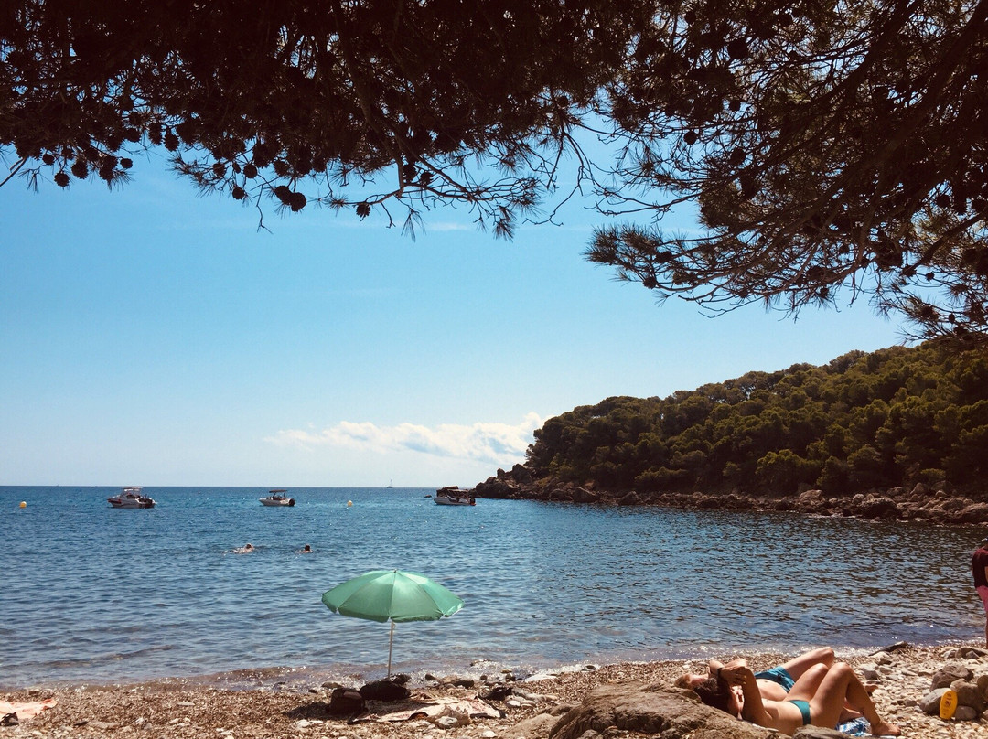 Platja Cala Murtra-罗塞斯必去景点