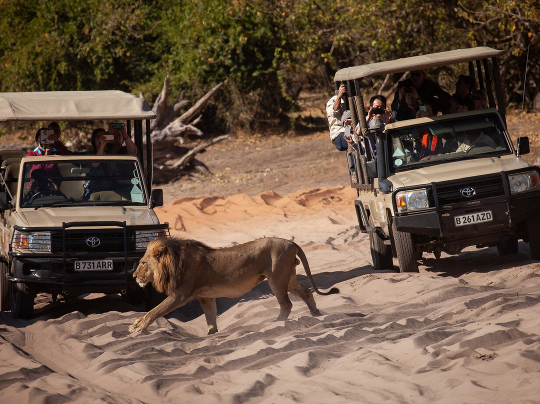 Kalahari Tours-卡萨尼必去景点