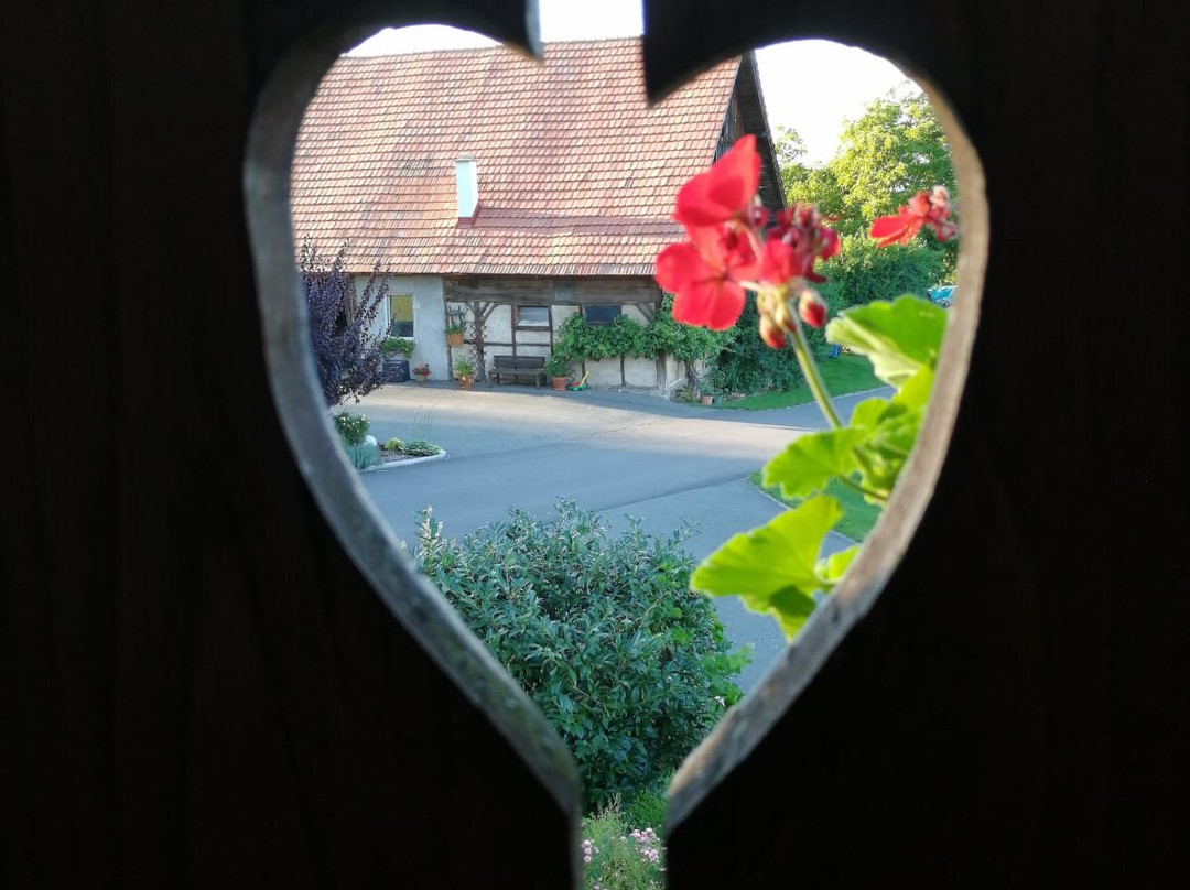 Weingut & Buschenschank Pölzl主图