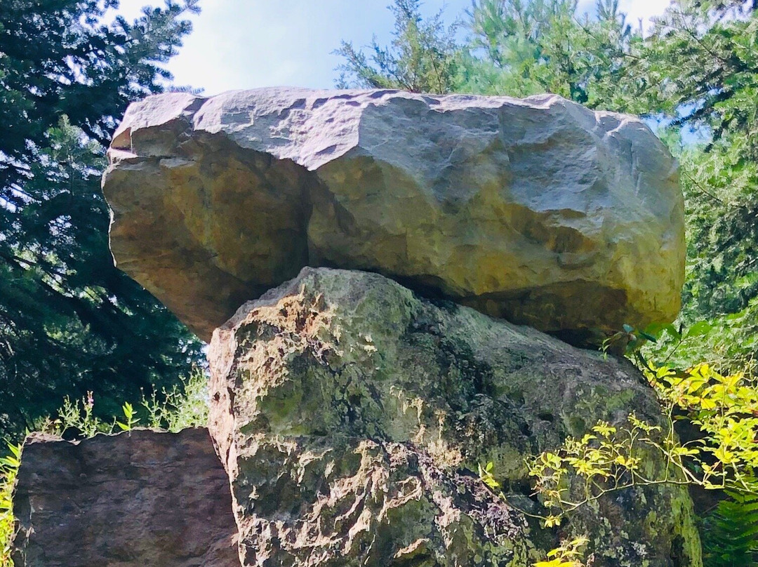 Columcille Megalith Park景点图片