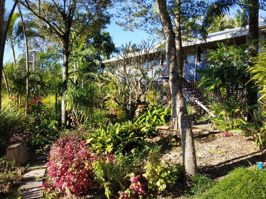 Grey Gum Lodge主图