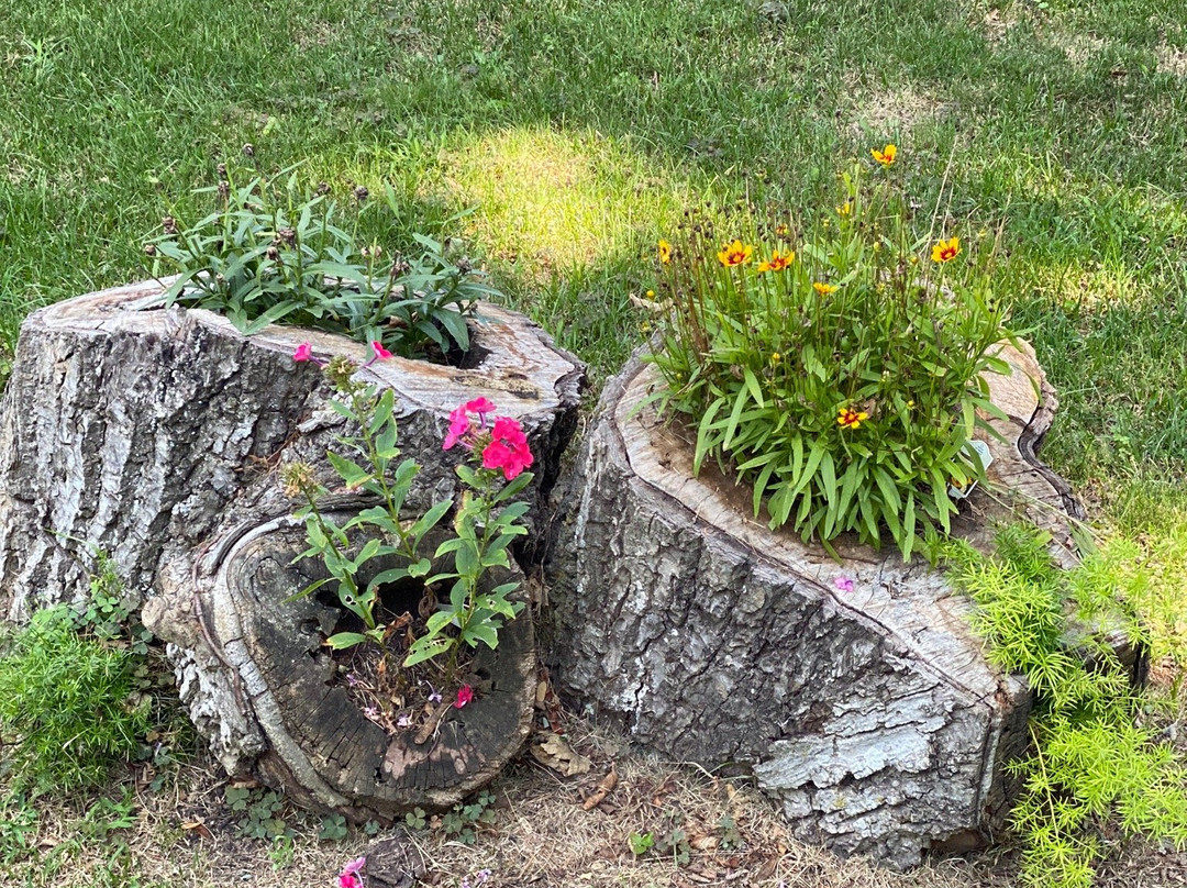 The Harvest Inn主图