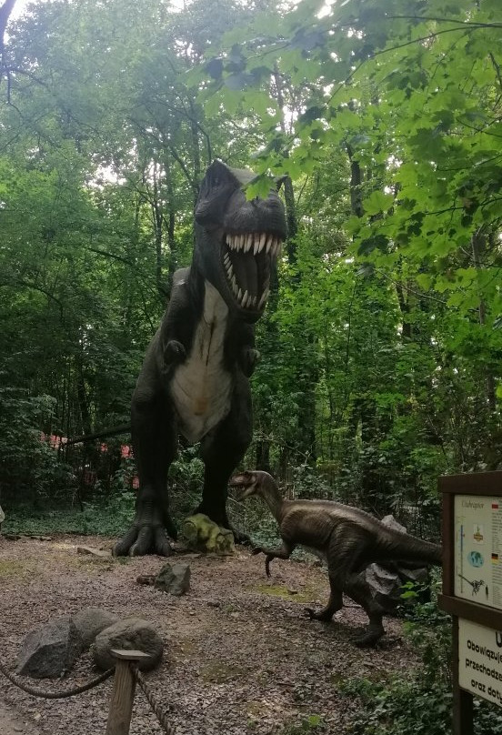 Dino Park景点图片