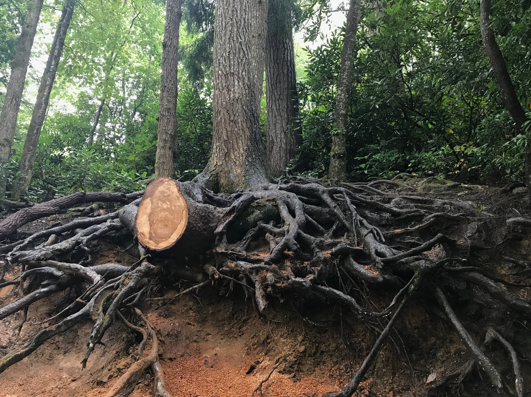 Linville Falls Visitor Center-Linville Falls必去景点