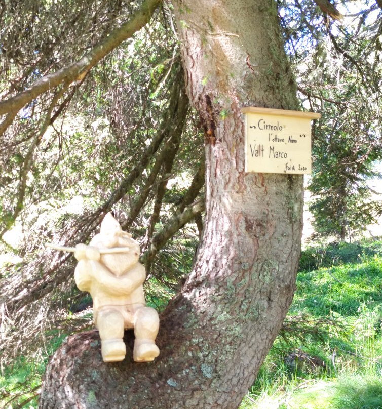 Giardino Delle Formiche景点图片