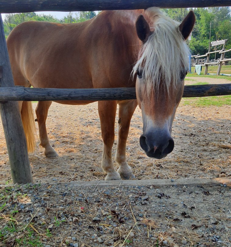 Agriturismo Campofelice主图