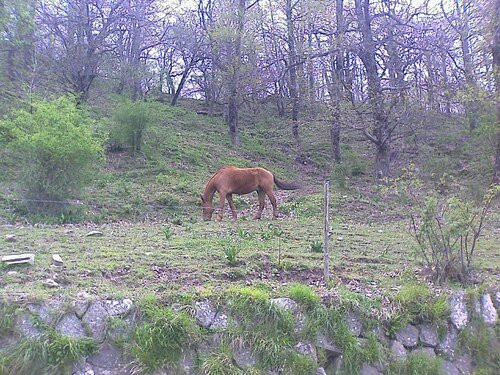 Parco Nazionale dell'Appennino Tosco-Emiliano景点图片
