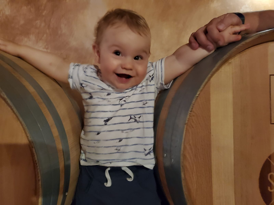 Winery San Tommaso-Bale必去景点