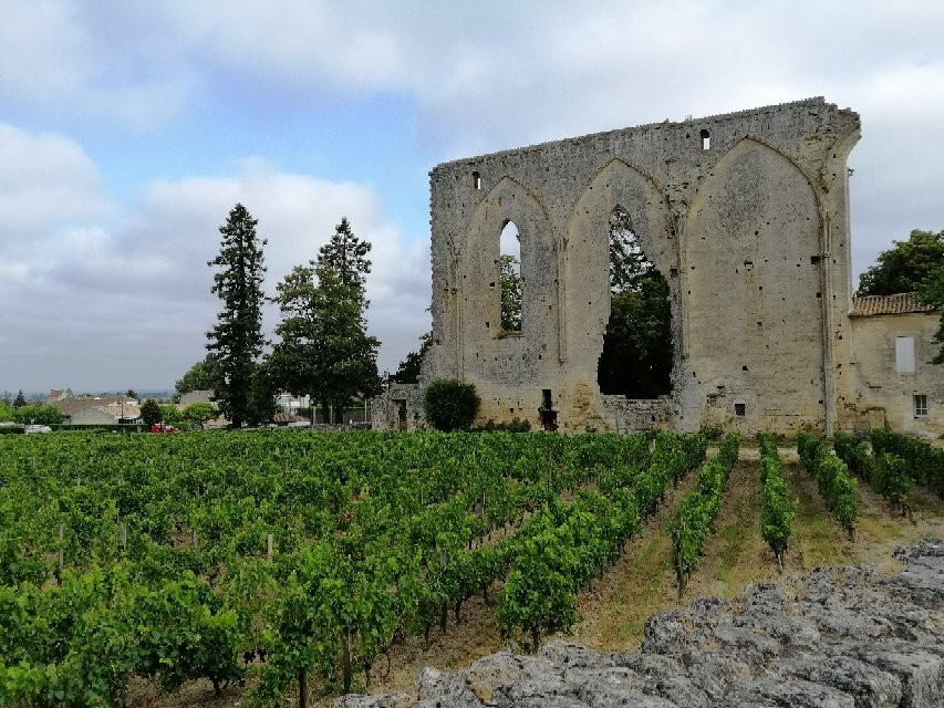 Saint Emilion Wine Tour by Cabriolet Coach景点图片