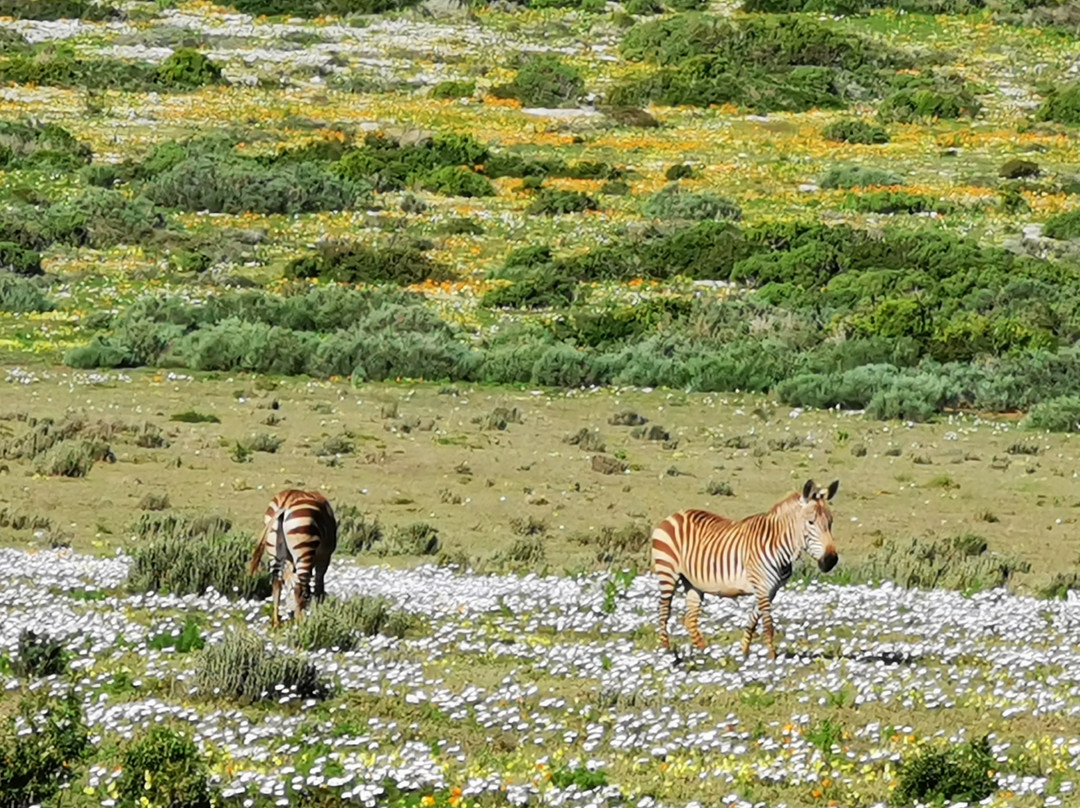 Southern Xplorer Tours