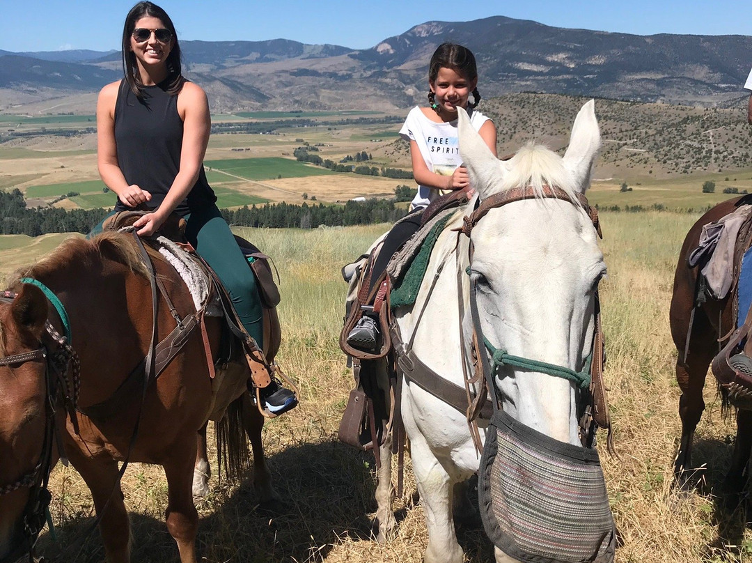 Bear Paw Outfitters-利文斯顿必去景点