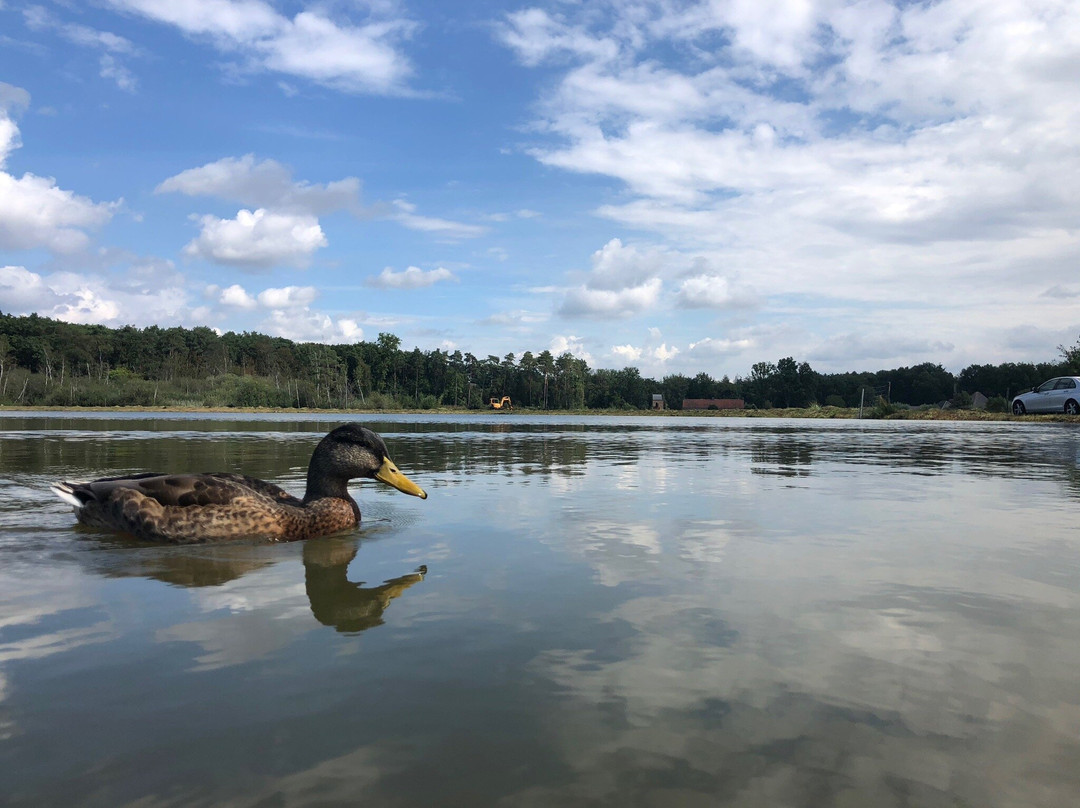 Fietsen Door Het Water景点图片