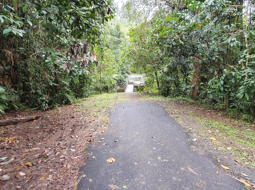 Henrietta Camp Ground-Herberton必去景点