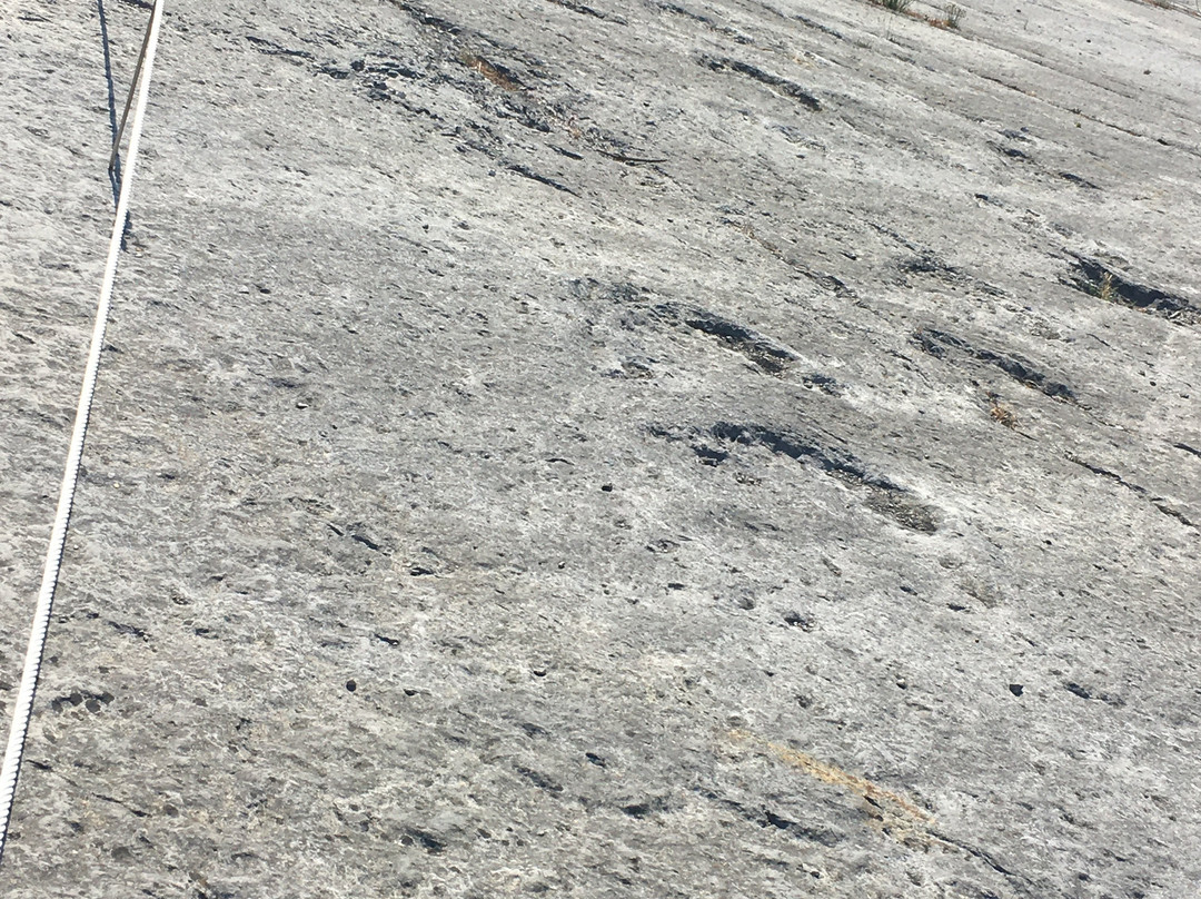 Natural Monument of the Dinosaur Footprints景点图片