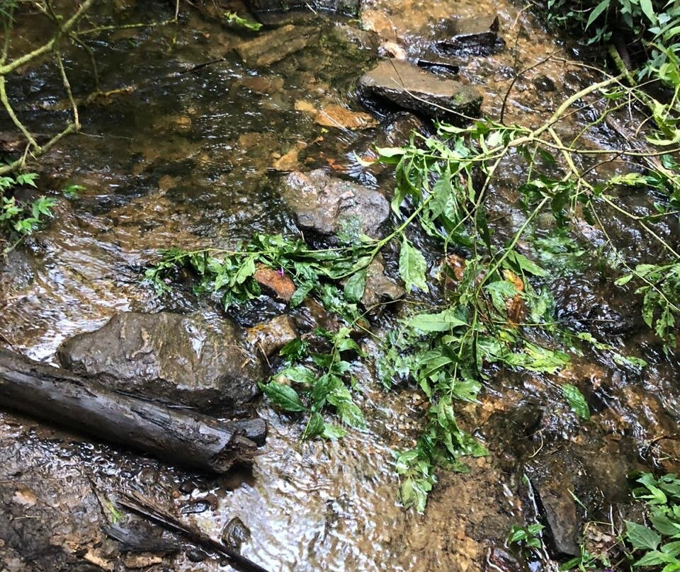 Cachoeira do Toldi-Sao Bento do Sapucai必去景点